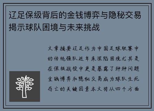 辽足保级背后的金钱博弈与隐秘交易揭示球队困境与未来挑战